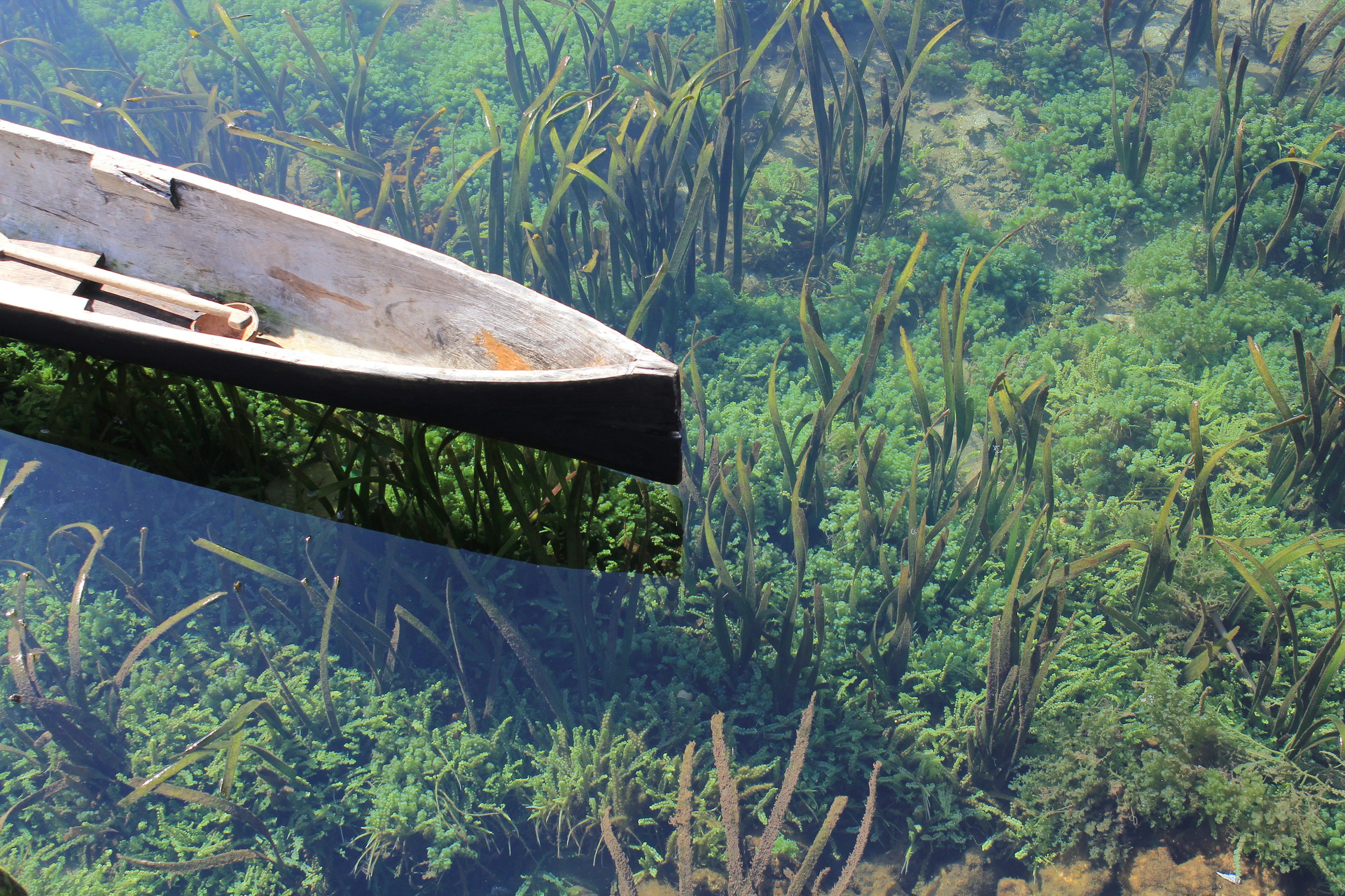 black wooden canoe on body of water